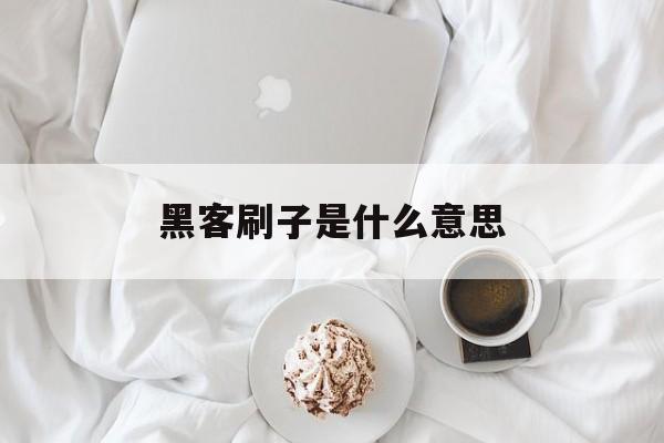 黑客刷子是什么意思（刷子的意思）