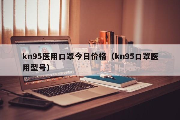 kn95医用口罩今日价格（kn95口罩医用型号）