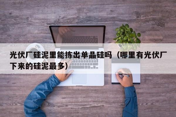 光伏厂硅泥里能拣出单晶硅吗（哪里有光伏厂下来的硅泥最多）