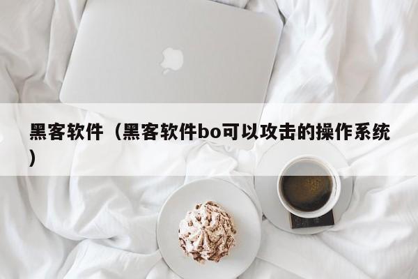 黑客软件（黑客软件bo可以攻击的操作系统）
