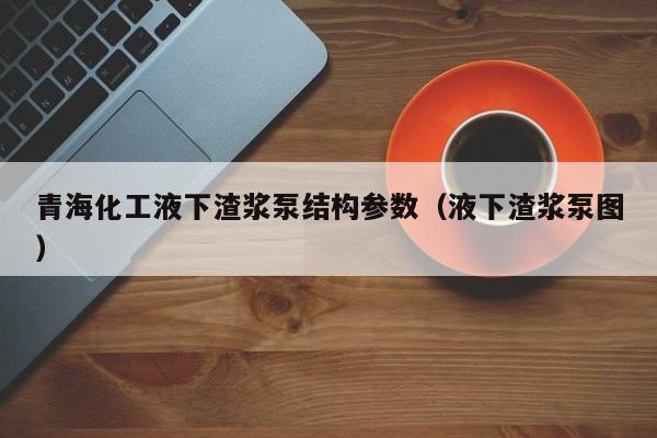 青海化工液下渣浆泵结构参数（液下渣浆泵图）