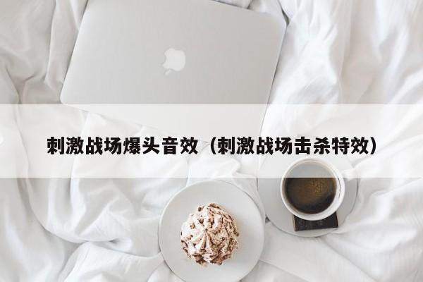 刺激战场爆头音效（刺激战场击杀特效）