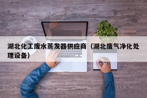 湖北化工废水蒸发器供应商（湖北废气净化处理设备）