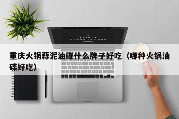 重庆火锅蒜泥油碟什么牌子好吃（哪种火锅油碟好吃）
