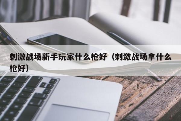 刺激战场新手玩家什么枪好（刺激战场拿什么枪好）