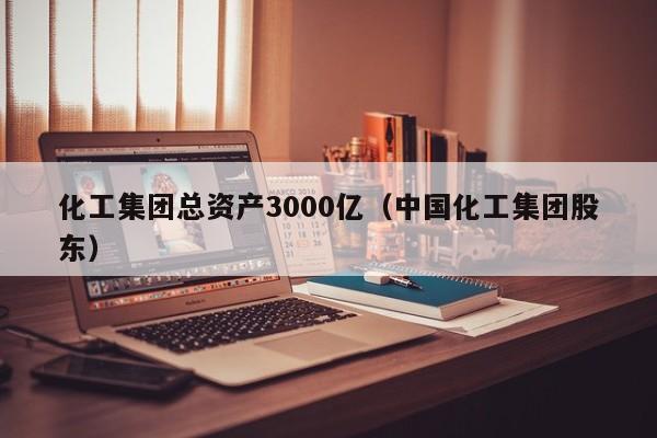 化工集团总资产3000亿（中国化工集团股东）