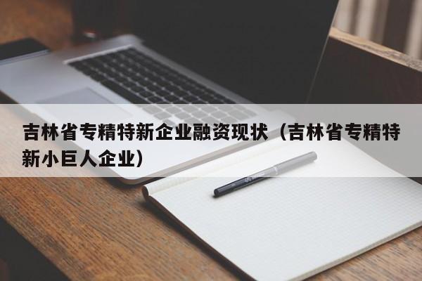 吉林省专精特新企业融资现状（吉林省专精特新小巨人企业）