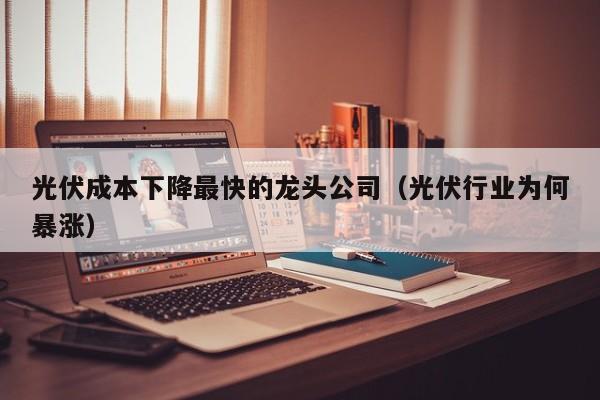 光伏成本下降最快的龙头公司（光伏行业为何暴涨）
