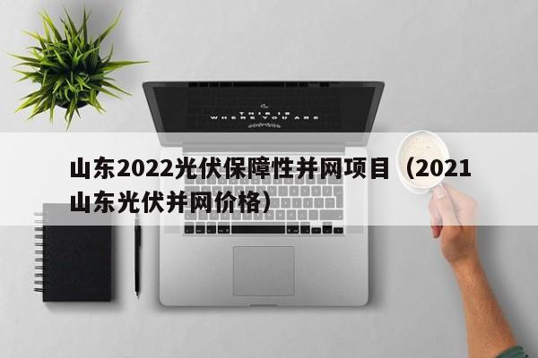 山东2022光伏保障性并网项目（2021山东光伏并网价格）