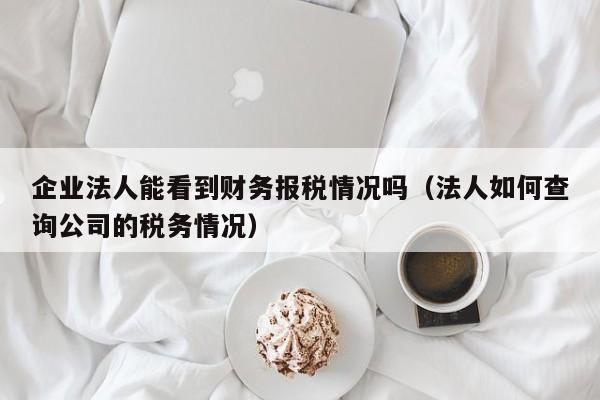 企业法人能看到财务报税情况吗（法人如何查询公司的税务情况）