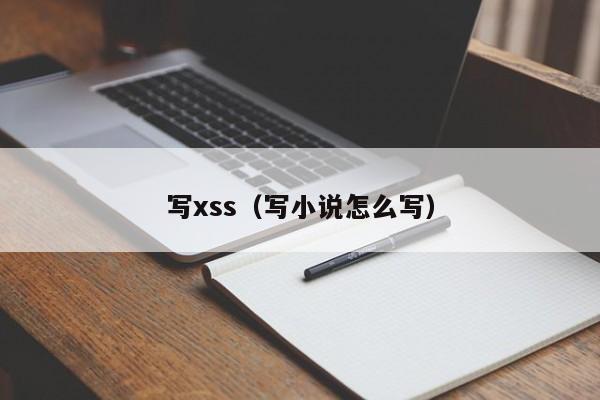 写xss（写小说怎么写）