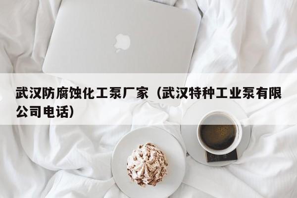 武汉防腐蚀化工泵厂家（武汉特种工业泵有限公司电话）