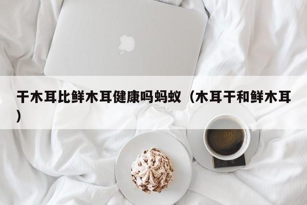 干木耳比鲜木耳健康吗蚂蚁（木耳干和鲜木耳）