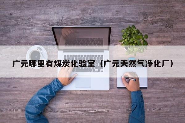 广元哪里有煤炭化验室（广元天然气净化厂）