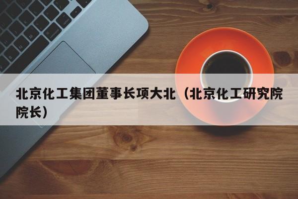 北京化工集团董事长项大北（北京化工研究院院长）