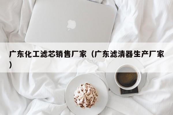 广东化工滤芯销售厂家（广东滤清器生产厂家）