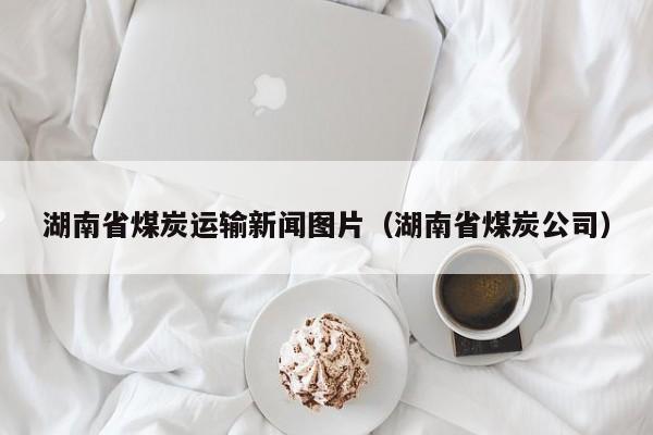 湖南省煤炭运输新闻图片（湖南省煤炭公司）