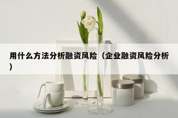 用什么方法分析融资风险（企业融资风险分析）