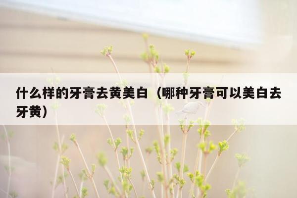 什么样的牙膏去黄美白（哪种牙膏可以美白去牙黄）