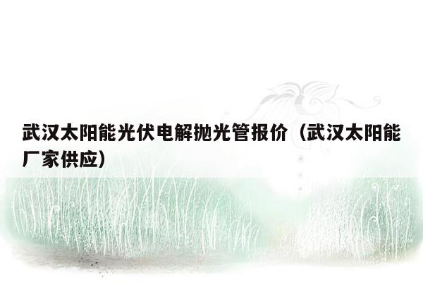 武汉太阳能光伏电解抛光管报价（武汉太阳能厂家供应）