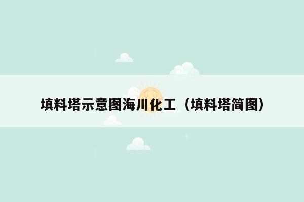 填料塔示意图海川化工（填料塔简图）