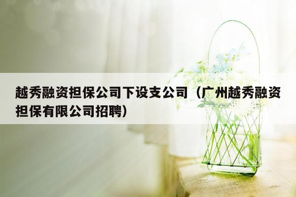 越秀融资担保公司下设支公司（广州越秀融资担保有限公司招聘）