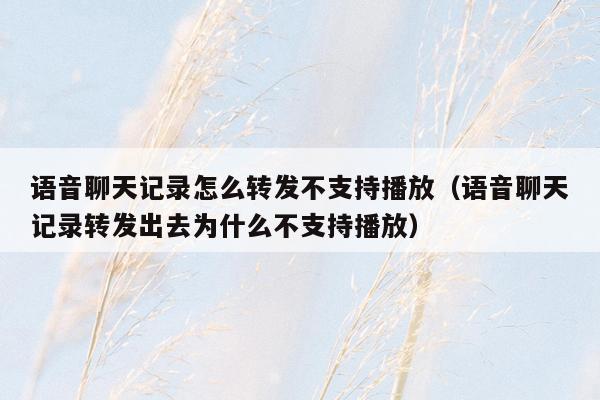 语音聊天记录怎么转发不支持播放（语音聊天记录转发出去为什么不支持播放）