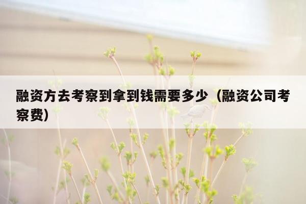 融资方去考察到拿到钱需要多少（融资公司考察费）