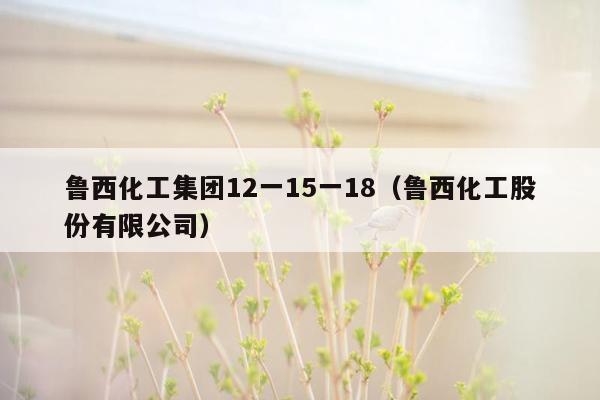 鲁西化工集团12一15一18（鲁西化工股份有限公司）