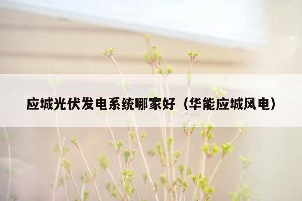 应城光伏发电系统哪家好（华能应城风电）