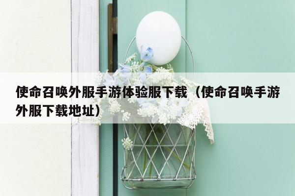 使命召唤外服手游体验服下载（使命召唤手游外服下载地址）