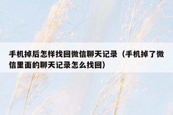 手机掉后怎样找回微信聊天记录（手机掉了微信里面的聊天记录怎么找回）