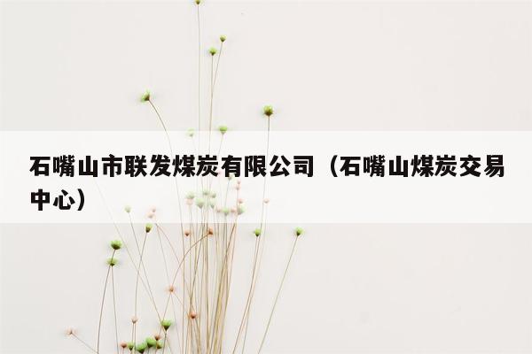 石嘴山市联发煤炭有限公司（石嘴山煤炭交易中心）