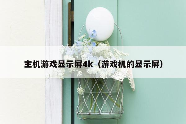 主机游戏显示屏4k（游戏机的显示屏）