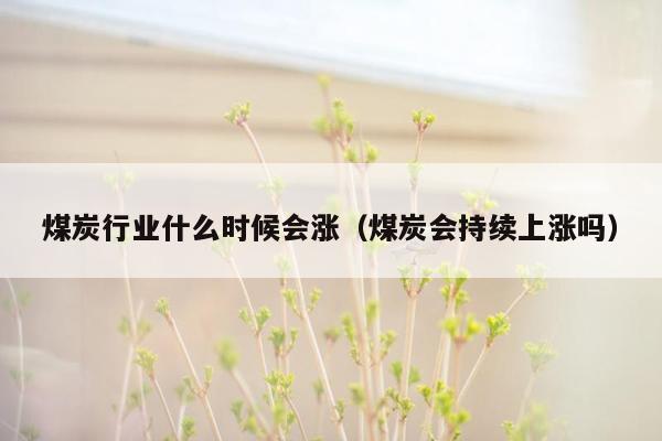 煤炭行业什么时候会涨（煤炭会持续上涨吗）