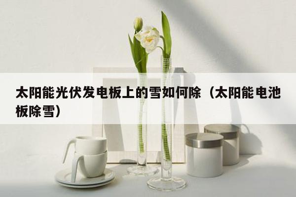 太阳能光伏发电板上的雪如何除（太阳能电池板除雪）