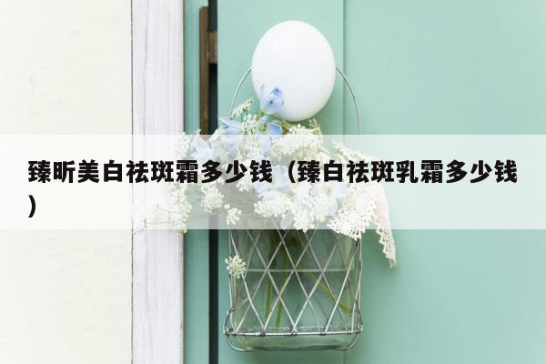 臻昕美白祛斑霜多少钱（臻白祛斑乳霜多少钱）