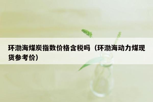 环渤海煤炭指数价格含税吗（环渤海动力煤现货参考价）