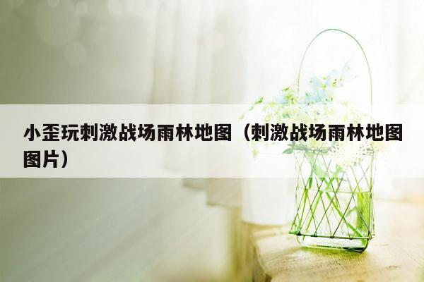小歪玩刺激战场雨林地图（刺激战场雨林地图图片）