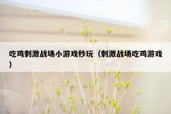 吃鸡刺激战场小游戏秒玩（刺激战场吃鸡游戏）