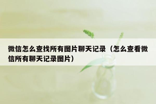 微信怎么查找所有图片聊天记录（怎么查看微信所有聊天记录图片）