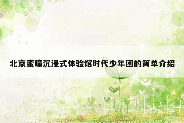 北京蜜瞳沉浸式体验馆时代少年团的简单介绍