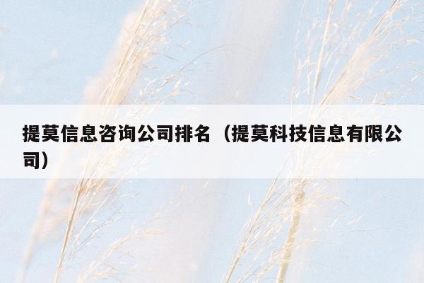 提莫信息咨询公司排名（提莫科技信息有限公司）