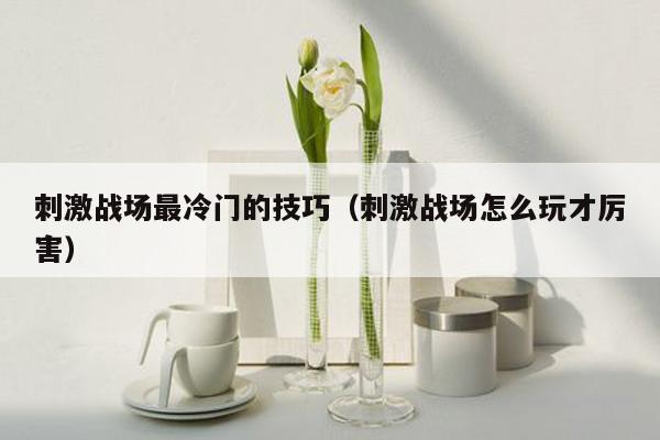刺激战场最冷门的技巧（刺激战场怎么玩才厉害）