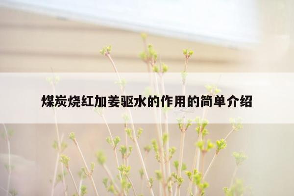 煤炭烧红加姜驱水的作用的简单介绍