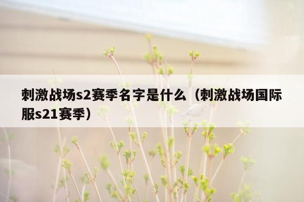 刺激战场s2赛季名字是什么（刺激战场国际服s21赛季）
