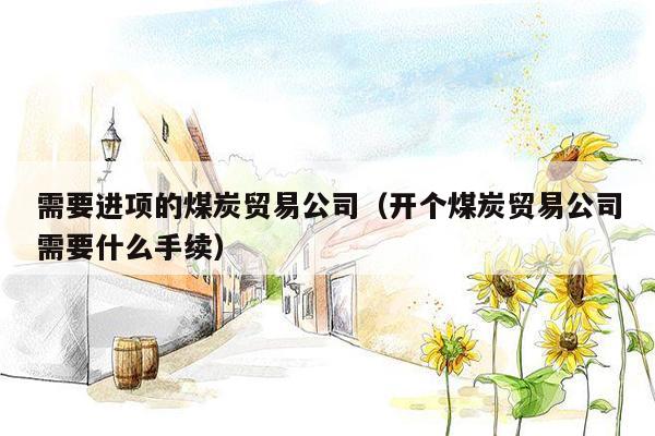 需要进项的煤炭贸易公司（开个煤炭贸易公司需要什么手续）