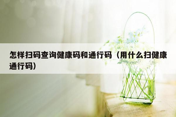 怎样扫码查询健康码和通行码（用什么扫健康通行码）