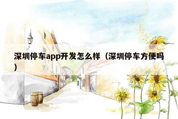 深圳停车app开发怎么样（深圳停车方便吗）