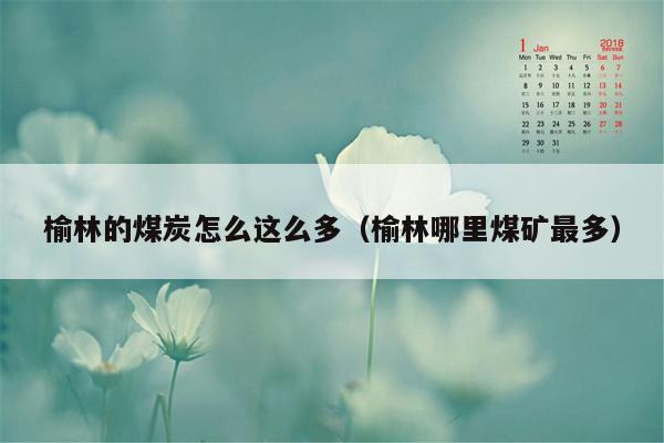 榆林的煤炭怎么这么多（榆林哪里煤矿最多）